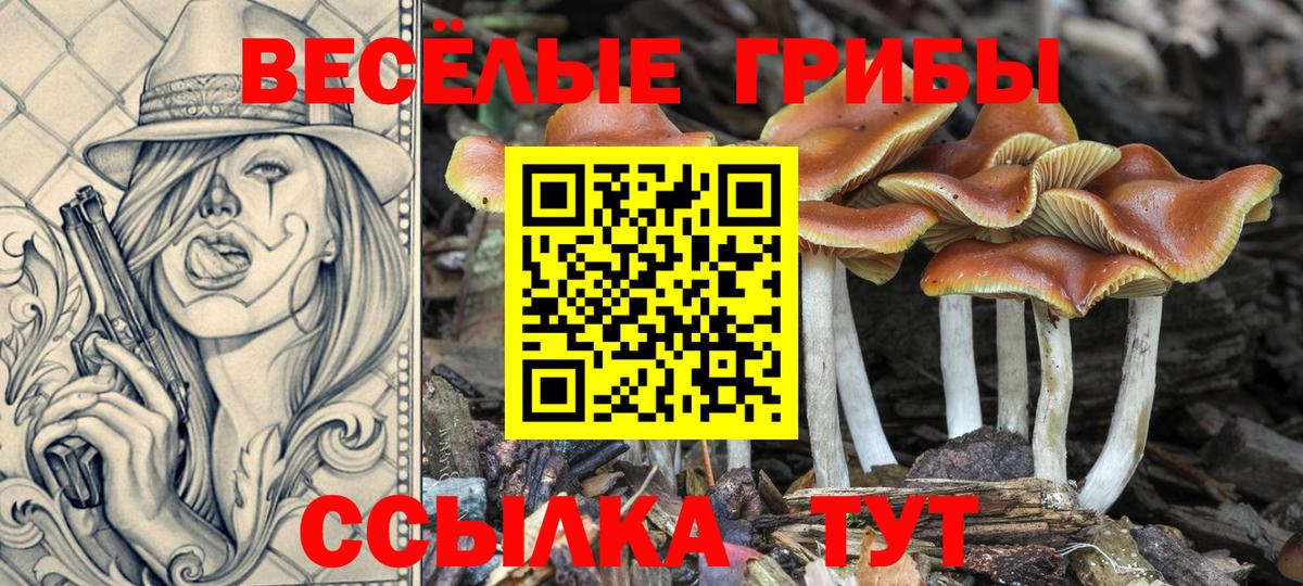 Псилоцибиновые грибы Magic Shrooms Мурино